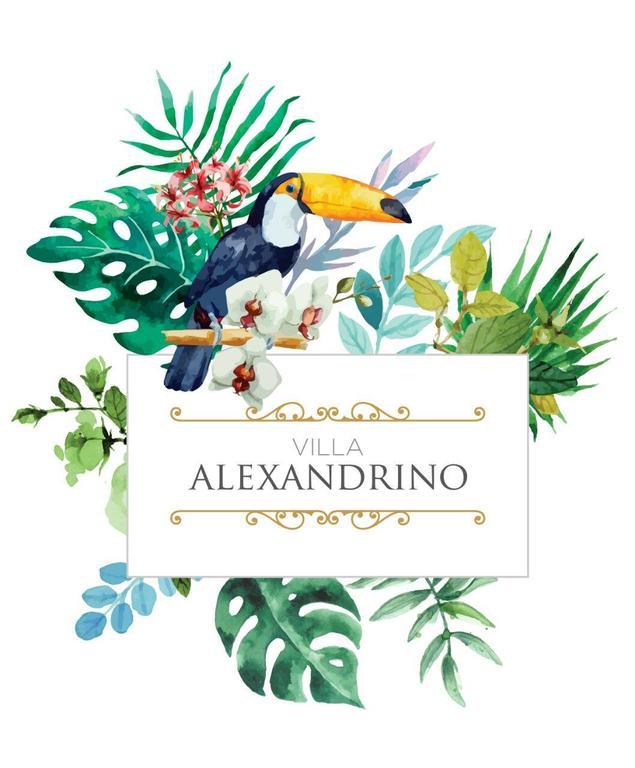 ריו דה ז'ניירו Villa Alexandrino מראה חיצוני תמונה